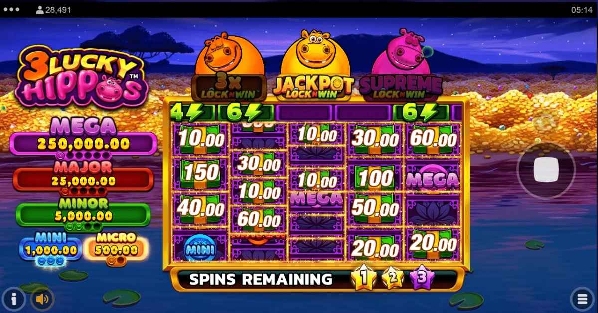 3 Lucky Hippos