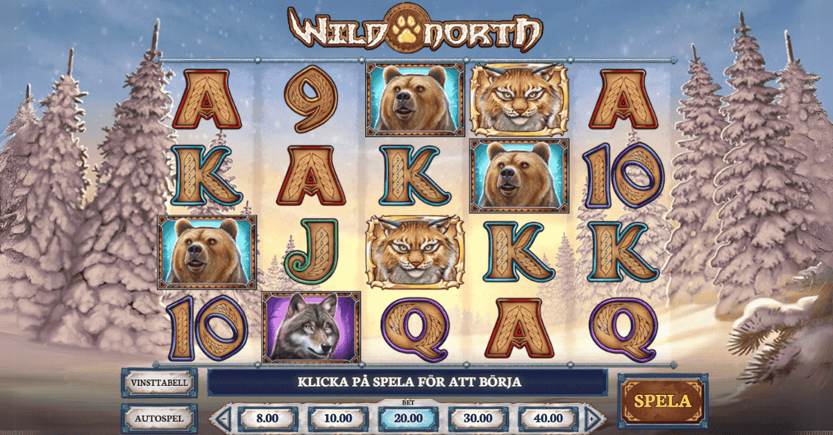 Så spelar du Wild North
